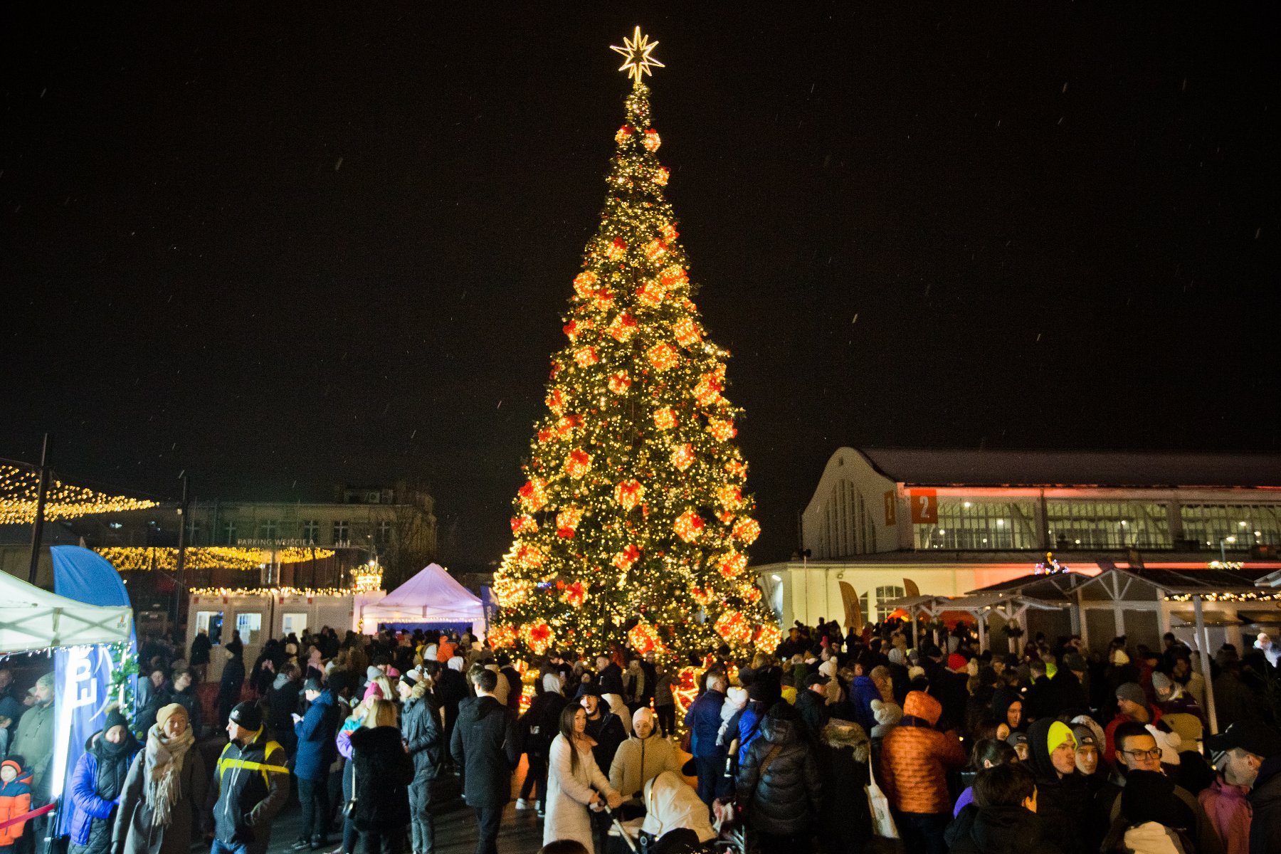 Widok na choinkę n MTP - grafika artykułu