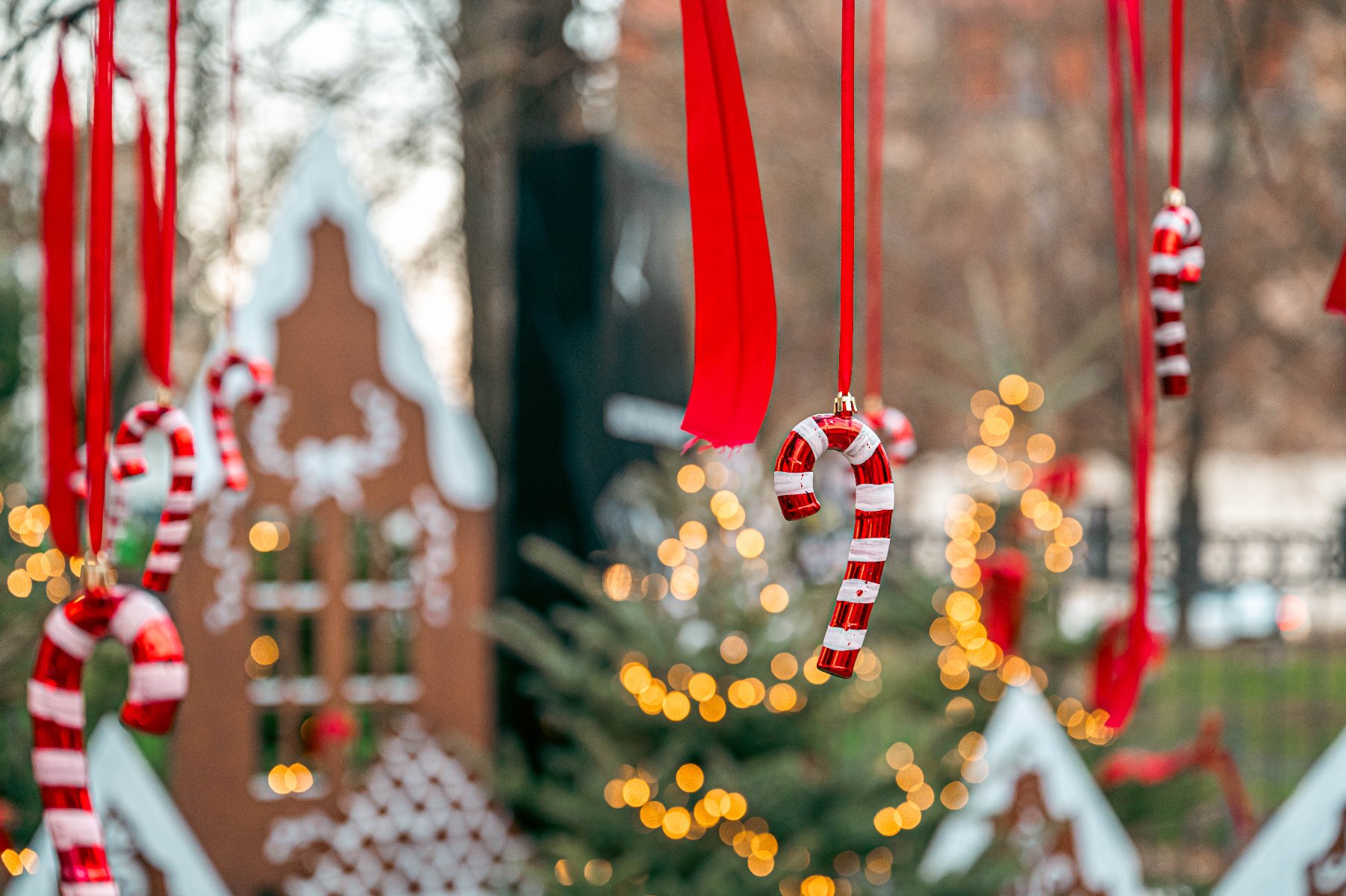 zdjęcie przedstawia bombkę zawieszoną na świątecznej dekoracji